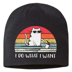 I Do What I Want Funny Black Cat Lovers Sustainable Beanie