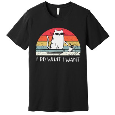 I Do What I Want Funny Black Cat Lovers Premium T-Shirt