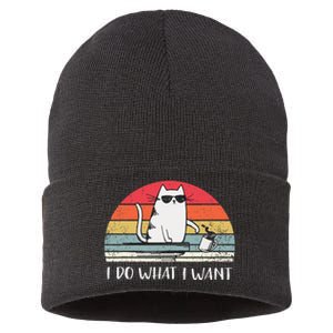 I Do What I Want Funny Black Cat Lovers Sustainable Knit Beanie