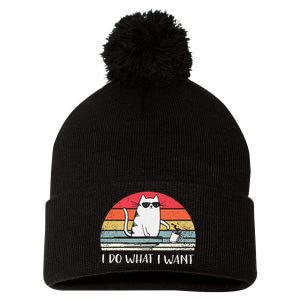 I Do What I Want Funny Black Cat Lovers Pom Pom 12in Knit Beanie