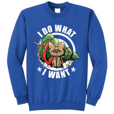 I Do What I Want Funny Cat Dad Cat Moms Christmas Cat Lovers Gift Sweatshirt