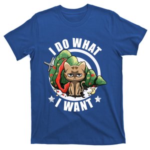 I Do What I Want Funny Cat Dad Cat Moms Christmas Cat Lovers Cool Gift T-Shirt