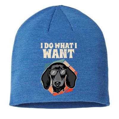 I Do What I Want I Retro Wiener Dog I Dachshund Gift Sustainable Beanie