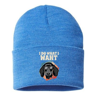 I Do What I Want I Retro Wiener Dog I Dachshund Gift Sustainable Knit Beanie