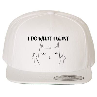 I Do What I Want Funny Cat Stinky Finger Wool Snapback Cap