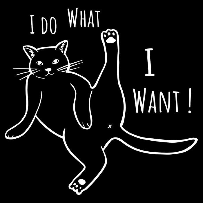 I Do What I Want Cat 16 in Basic Backpack