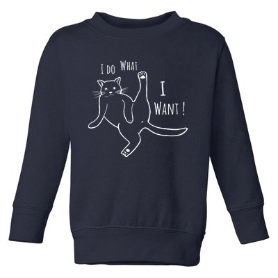 I Do What I Want Cat Toddler Sweatshirt