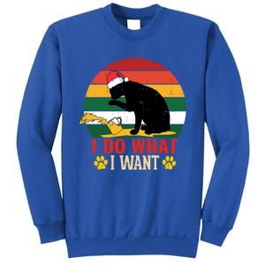 I Do What I Want Cat Christmas Pajama Funny Kitten Xmas Gift Sweatshirt