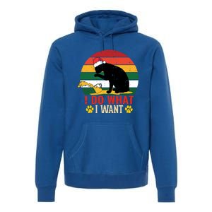 I Do What I Want Cat Christmas Pajama Funny Kitten Xmas Gift Premium Hoodie