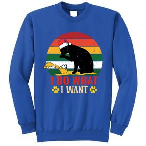 I Do What I Want Cat Christmas Pajama Funny Kitten Xmas Gift Tall Sweatshirt