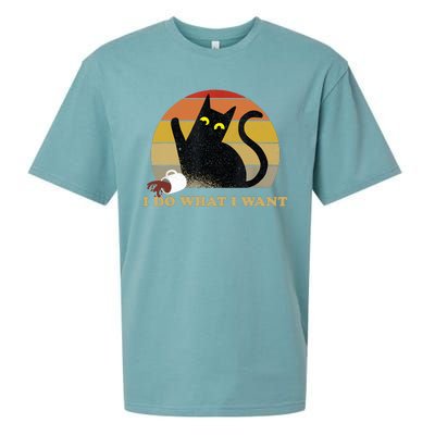 I Do What I Want Black Cat Funny Cat Lover Retro Vintage Sueded Cloud Jersey T-Shirt