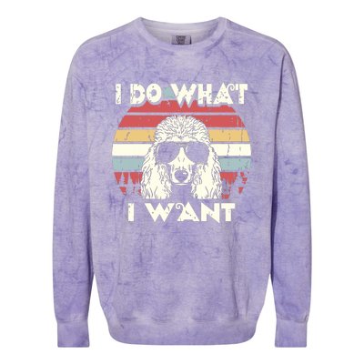 I Do What I Want Funny Standard Poodle Vintage Retro Colorblast Crewneck Sweatshirt