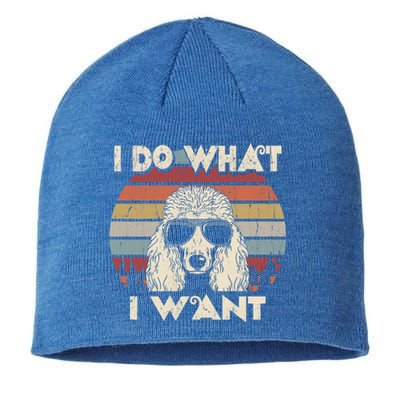 I Do What I Want Gift Funny Standard Poodle Vintage Retro Gift Sustainable Beanie