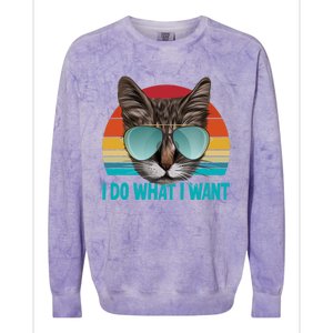 I Do What I Want Cat Colorblast Crewneck Sweatshirt