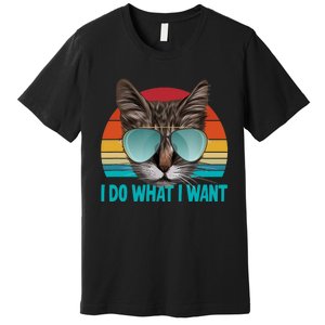 I Do What I Want Cat Premium T-Shirt