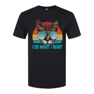 I Do What I Want Cat Softstyle CVC T-Shirt