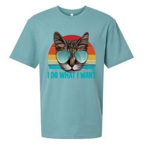 I Do What I Want Cat Sueded Cloud Jersey T-Shirt