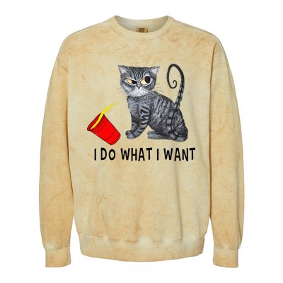 I Do What I Want Cat Coffee Black Cat Red Cup Funny Graphic Colorblast Crewneck Sweatshirt