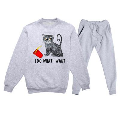 I Do What I Want Cat Coffee Black Cat Red Cup Funny Graphic Premium Crewneck Sweatsuit Set