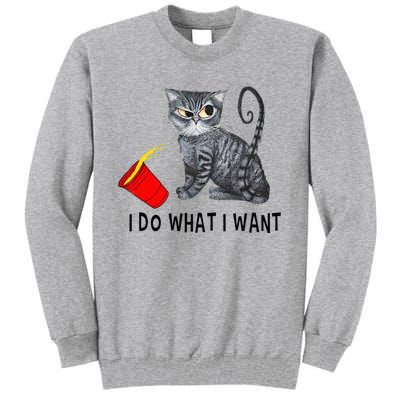 I Do What I Want Cat Coffee Black Cat Red Cup Funny Graphic Tall Sweatshirt