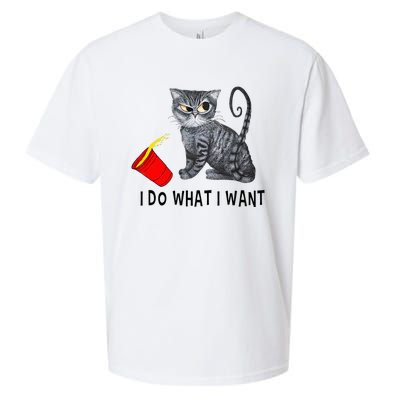 I Do What I Want Cat Coffee Black Cat Red Cup Funny Graphic Sueded Cloud Jersey T-Shirt