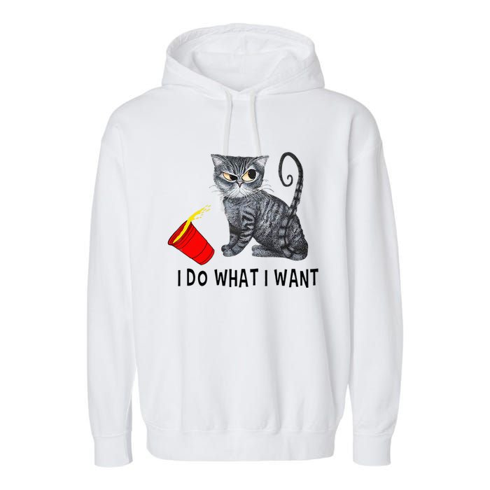 I Do What I Want Cat Coffee Black Cat Red Cup Funny Graphic Garment-Dyed Fleece Hoodie