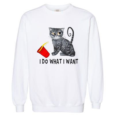 I Do What I Want Cat Coffee Black Cat Red Cup Funny Graphic Garment-Dyed Sweatshirt