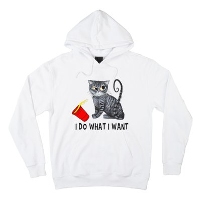 I Do What I Want Cat Coffee Black Cat Red Cup Funny Graphic Hoodie