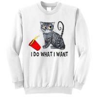 I Do What I Want Cat Coffee Black Cat Red Cup Funny Graphic Sweatshirt