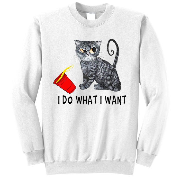 I Do What I Want Cat Coffee Black Cat Red Cup Funny Graphic Sweatshirt