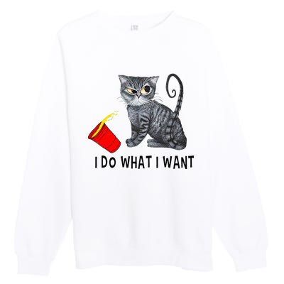 I Do What I Want Cat Coffee Black Cat Red Cup Funny Graphic Premium Crewneck Sweatshirt