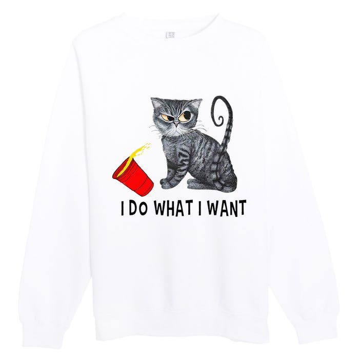 I Do What I Want Cat Coffee Black Cat Red Cup Funny Graphic Premium Crewneck Sweatshirt