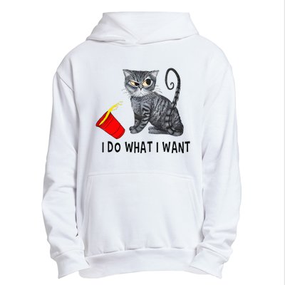 I Do What I Want Cat Coffee Black Cat Red Cup Funny Graphic Urban Pullover Hoodie