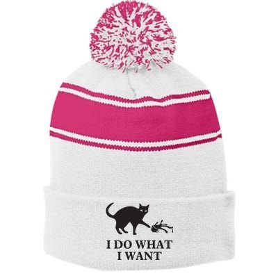 I Do What I Want Cat Gift Stripe Pom Pom Beanie