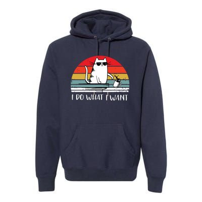 I Do What I Want Funny Black Cat Lovers Premium Hoodie