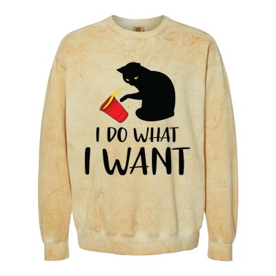 I Do What I Want Funny Black Cat Red Cup Funny My Cat Colorblast Crewneck Sweatshirt