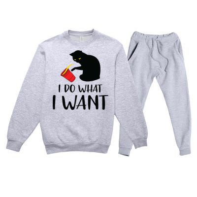 I Do What I Want Funny Black Cat Red Cup Funny My Cat Premium Crewneck Sweatsuit Set