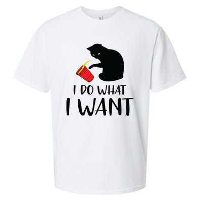 I Do What I Want Funny Black Cat Red Cup Funny My Cat Sueded Cloud Jersey T-Shirt