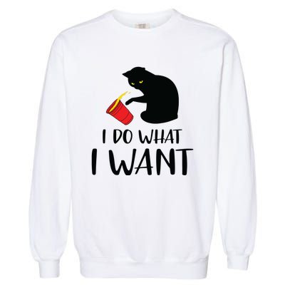 I Do What I Want Funny Black Cat Red Cup Funny My Cat Garment-Dyed Sweatshirt