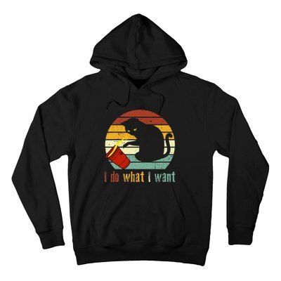 I Do What I Want Cat Coffee Black Cat Red Cup Funny Graphic Hoodie