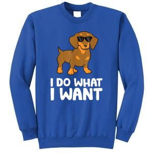 I Do What I Want Cute Dachshund Gift Tall Sweatshirt