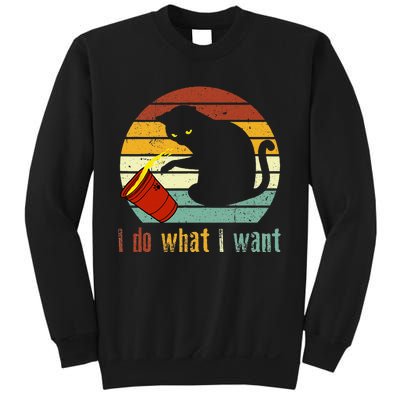 I Do What I Want Cat Coffee Black Cat Red Cup Funny Graphic Sweatshirt