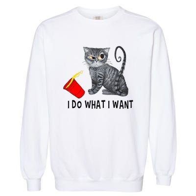 I Do What I Want Cat Coffee Black Cat Red Cup Funny Graphic Garment-Dyed Sweatshirt