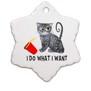 I Do What I Want Cat Coffee Black Cat Red Cup Funny Graphic Ceramic Star Ornament