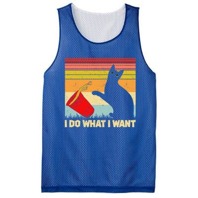 I Do What I Want Black Cat Outfit Vintage Cats Lover Meaningful Gift Mesh Reversible Basketball Jersey Tank