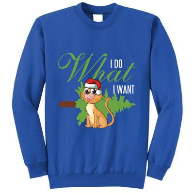 I Do What I Want Cat Wearing Santa Hat Sarcastic Christmas Gift Tall Sweatshirt
