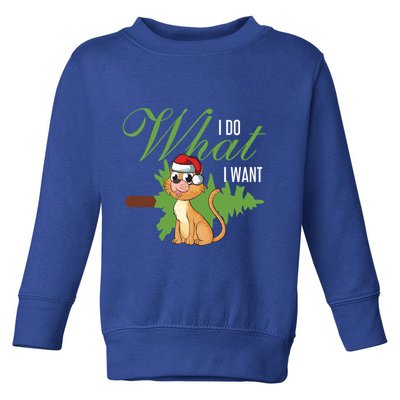 I Do What I Want Cat Wearing Santa Hat Sarcastic Christmas Gift Toddler Sweatshirt