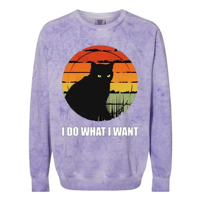 I Do What I Want Vintage Funny Cagreat Gift For Cat Dad/mom Gift Colorblast Crewneck Sweatshirt