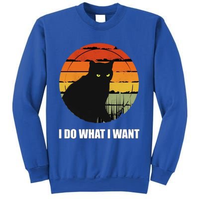 I Do What I Want Vintage Funny Cagreat Gift For Cat Dad/mom Gift Sweatshirt