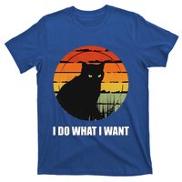 I Do What I Want Vintage Funny Cagreat Gift For Cat Dad/mom Gift T-Shirt